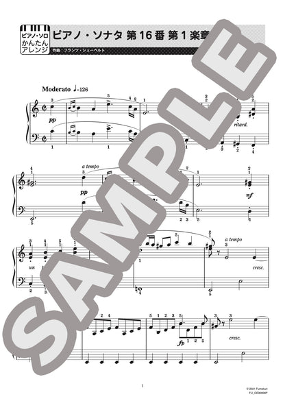 ピアノ・ソナタ 第16番 第1楽章（フランツ・シューベルト) / クラシック・オリジナル楽曲【初級】