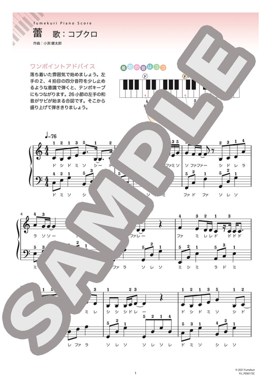 蕾（コブクロ) / ピアノ・ソロ【初級】